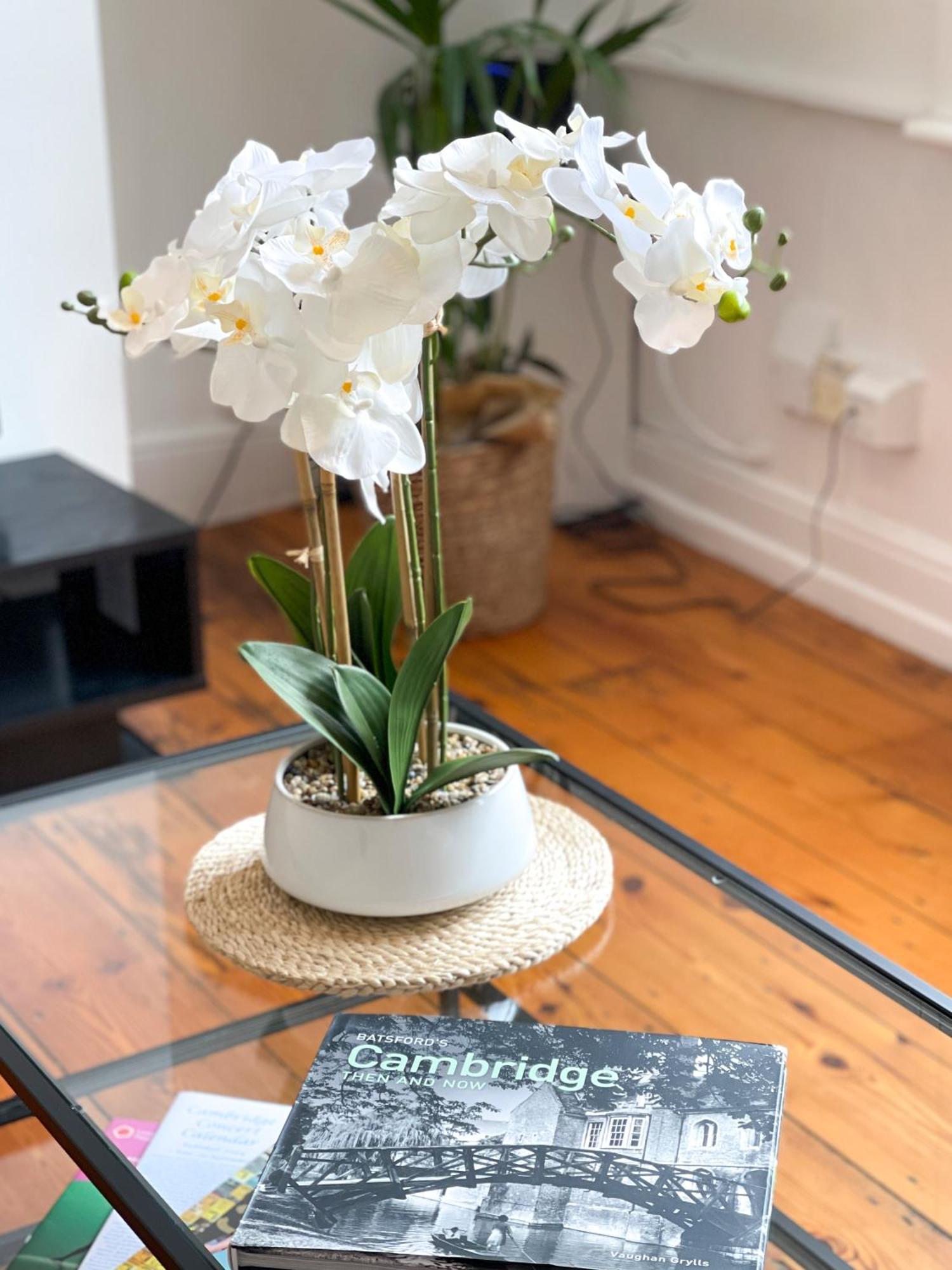 Fantastic Victorian House, Excellent City Location - Cambridge Homehost Exteriör bild